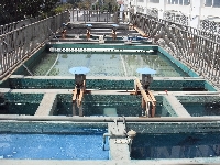 厦门污水处理厦门涂装污水处理厦门油漆污水处理厦门养殖污