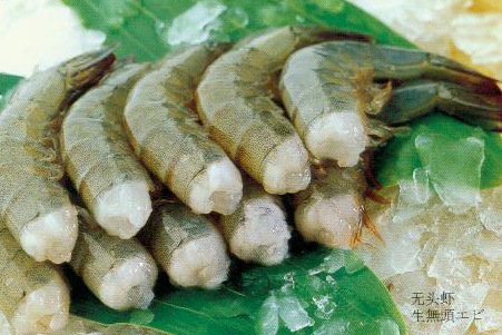 冷冻南美白对虾 青虾 去头虾