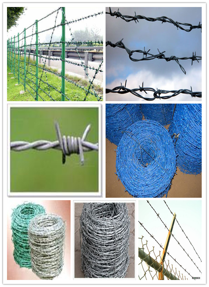 铁蒺藜蒺藜丝优质蒺藜刺绳