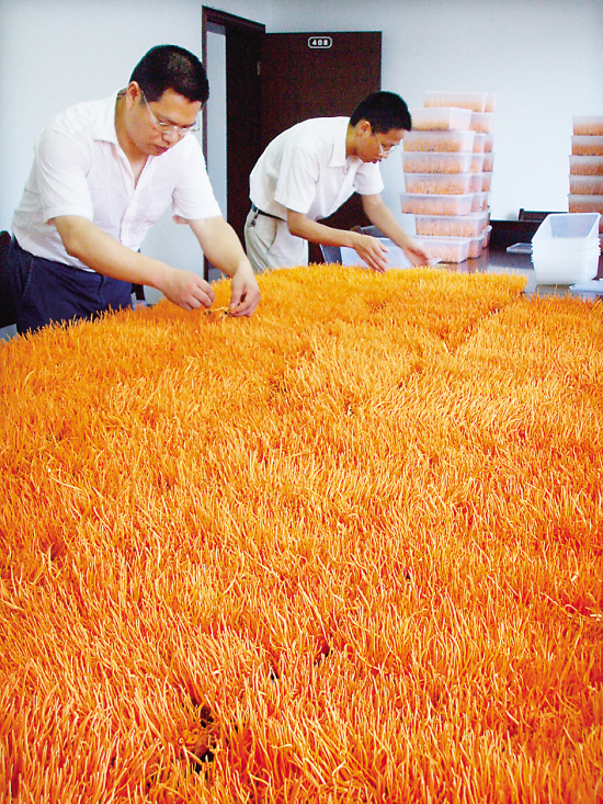 开封有收购土元的吗